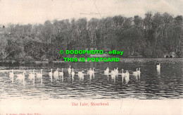 R531773 Stourhead. The Lake. F. Holmes - Wereld