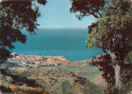 66-COLLIOURE-N°3782-A/0173 - Collioure