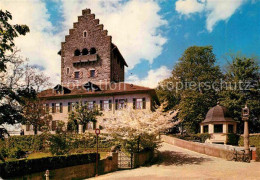 12875543 Uster ZH Schloss Uster - Other & Unclassified