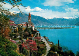 12875300 Ronco Sopra Ascona Panorama Lago Maggiore Alpen Ronco Sopra Ascona - Altri & Non Classificati