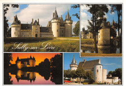 45-SULLY SUR LOIRE-N°3782-D/0199 - Sully Sur Loire
