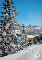 73-COURCHEVEL-N°3782-D/0177 - Courchevel