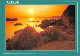 20-LA CORSE PAYSAGE-N°3782-C/0023 - Andere & Zonder Classificatie