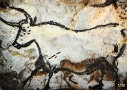 24-GROTTE DE LASCAUX-N°3782-B/0267 - Sonstige & Ohne Zuordnung