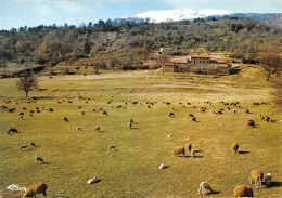 04-LA GRANDE BASTIDE-N°3783-B/0013 - Sonstige & Ohne Zuordnung