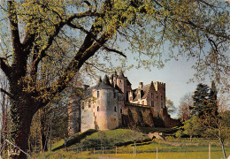 24-CHÂTEAU DE FAYRAC-N°3783-D/0263 - Andere & Zonder Classificatie