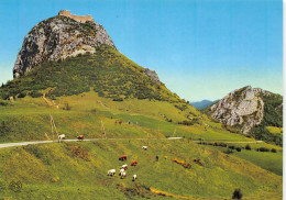 09-MONTSEGUR-N°3783-C/0365 - Sonstige & Ohne Zuordnung