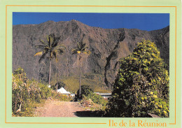 974-ILE DE LA REUNION CILAOS-N°3783-C/0249 - Autres & Non Classés