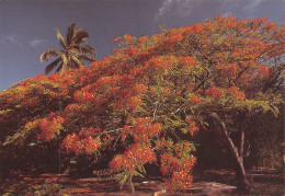 974-LA REUNION FLAMBOYANT-N°3783-C/0247 - Sonstige & Ohne Zuordnung