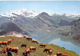 74-LAC DANS LES ALPES-N°3784-B/0069 - Andere & Zonder Classificatie