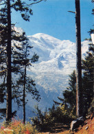 74-LE MONT BLANC-N° 4419-C/0091 - Sonstige & Ohne Zuordnung