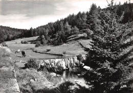 48-MASSIF DE L AIGOUAL-N° 4419-C/0047 - Otros & Sin Clasificación