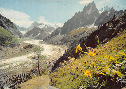 74-MASSIF DU MONT BLANC-N° 4419-C/0075 - Sonstige & Ohne Zuordnung