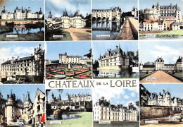 41-CHATEAUX DE LA LOIRE-N° 4419-B/0365 - Autres & Non Classés