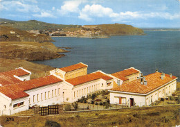 66-PORT VENDRES-N° 4419-B/0123 - Port Vendres