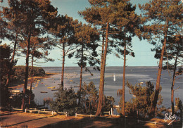 33-BASSIN D ARCACHON -N° 4419-A/0307 - Andere & Zonder Classificatie