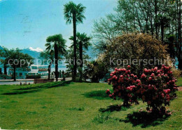 12861014 Locarno Lago Maggiore Park Locarno - Altri & Non Classificati