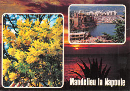 06-MANDELIEU LA NAPOULE-N° 4419-D/0293 - Autres & Non Classés