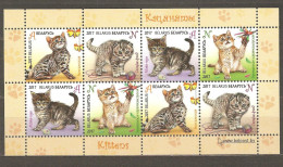 Belarus: Mint Sheetlet, Children's Philately - Kittens, 2017, Mi#1169-73, MNH. - Bielorrusia