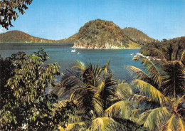 971-SAINT BARTHELEMY LES SAINTES-N° 4420-C/0093 - Sonstige & Ohne Zuordnung