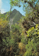 974-ILE DE LA REUNION LES HAUTS DE L ILE-N° 4420-A/0275 - Altri & Non Classificati