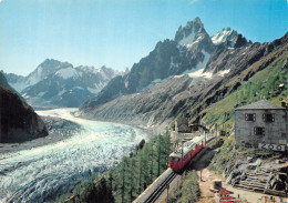 74-CHAMONIX MONT BLANC-N° 4420-A/0221 - Chamonix-Mont-Blanc