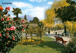 12856094 Locarno Lago Maggiore Lungolago Uferpromenade Baumbluete Locarno - Sonstige & Ohne Zuordnung