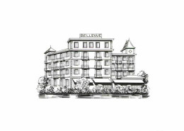 12770112 Interlaken BE Hotel Bellevue Interlaken - Otros & Sin Clasificación