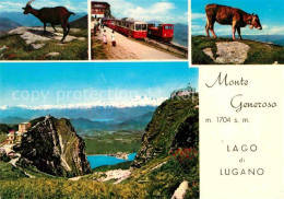 12769633 Monte Generoso Gemsen Bergbahn Alm Lago Di Lugano Monte Generoso - Otros & Sin Clasificación