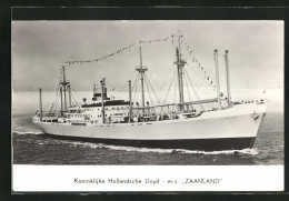 AK Handelsschiff MS Zaanland, Koninklijke Hollandsche Lloyd  - Koopvaardij