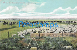 227846 ARGENTINA REMATE EN EL CAMPO SHEEP BREAK CIRCULATED TO ITALY POSTAL POSTCARD - Argentine