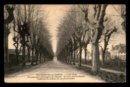 89 - VILLENEUVE-SUR-YONNE - PROMENADES DE TILLEULS - ARBRES - Villeneuve-sur-Yonne