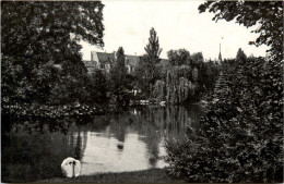 Posen - Botanischer Garten - Poland