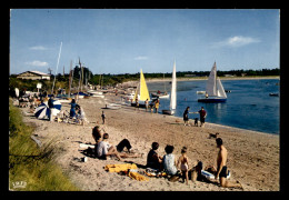 14 - FRANCEVILLE-PLAGE - LE CLUB ET LES VOILIERS - Autres & Non Classés