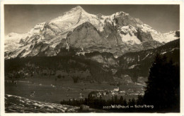 Wildhaus - Wildhaus-Alt Sankt Johann