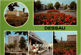 Dessau - Dessau