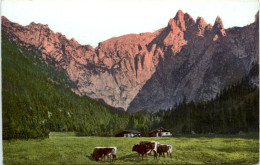 GEMIX - Pralinen Kakao - Werbepostkarten