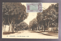 Conakry, Une Belle Avenue (A17p23) - French Guinea