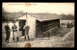 55 - HEVILLIERS - AIME HENRY APICULTEUR - UNE VISITE AU RUCHER  - CARTE AUTOGRAPHE - EDITEUR IMPRIMERIE MEUSIENNE - Sonstige & Ohne Zuordnung