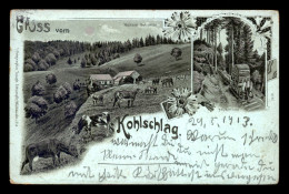 68 - FERME DU KOHSCHLAG A VILLER-SUR-THUR - CARTE LITHOGRAPHIQUE GRUSS - DECOR ALUMINIUM - Other & Unclassified