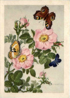 Schmetterlinge - Insekten