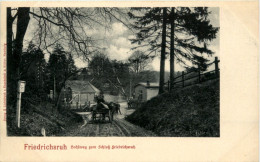 Friedrichsruh - Hohlweg - Friedrichsruh