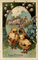 Ostern - Geflügel - Chicken - Prägekarte - Pasen