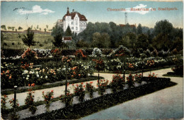 Chemnitz - Rosarium Im Stadtpark - Chemnitz