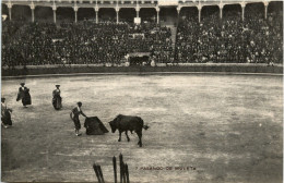 Pasando De Muleta - Corrida