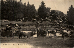 Saleve - Lac Et Rochers De Faverges - Autres & Non Classés