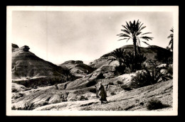 ALGERIE - L'AURES - PAYSAGE D'EROSION DE M'CHOUNECHE - Autres & Non Classés