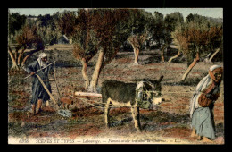 SCENES ET TYPES - ALGERIE - LABOURAGE - FEMME ARABE TRAINANT UNE CHARRUE - CARTE COLORISEE - EDITEUR LL - Szenen