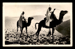 SCENES ET TYPES - SAHARA - MEHARISTES TRAVERSANT LES DUNES - CHAMEAUX - Escenas & Tipos