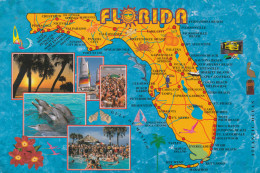 Florida Map - Shells,dolphins, Pelican, Formula 1,oh The Beach,sailing,flamingos,birds - Carte Geografiche